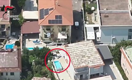 Il cagnolino lo tradisce, arrestato latitante nel Napoletano
