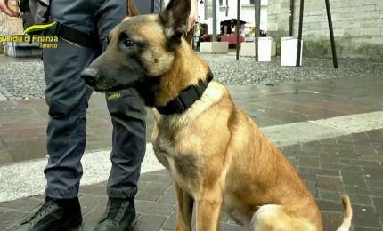 Taranto, sequestro di sostanze stupefacenti. 20 persone segnalate