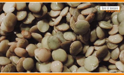 Sorsi di benessere - Una gustosa crema vegana a base di lenticchie