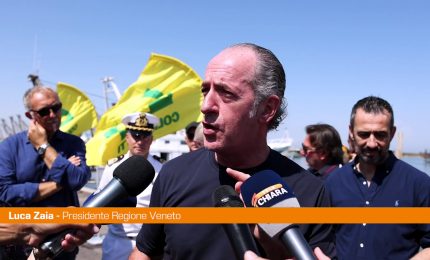 Veneto, Zaia "Preoccupati da granchio blu, quest'anno -80/90% vongole"