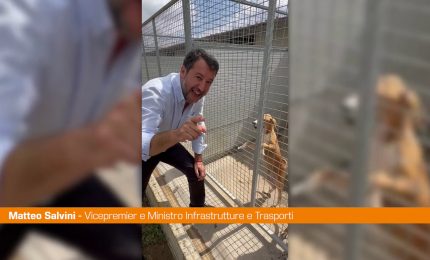 Salvini visita canile "Importante aprire le porte ai cuccioli"