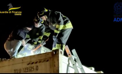 Sequestrati 50 chili di cocaina in un container a Livorno, un arresto