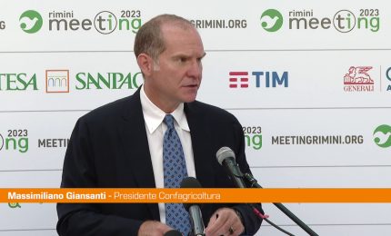 Alluvione, Giansanti "Danni per agricoltura ingenti, ora i ristori"