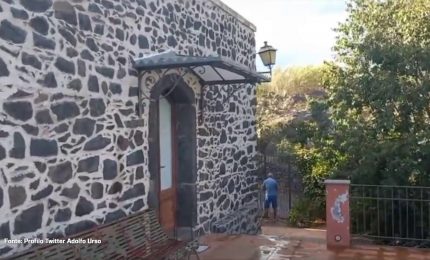 Urso aiuta a spegnere rogo nel Catanese, "Piromani senza vergogna"