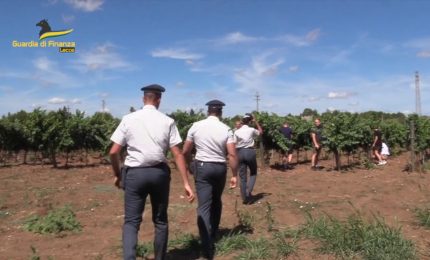 Scoperti oltre 900 falsi braccianti agricoli in provincia di Lecce