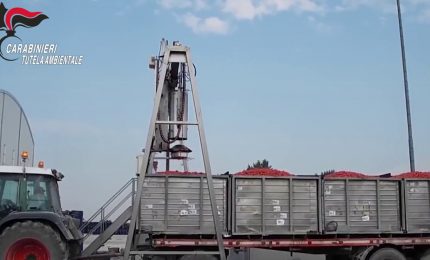 Napoli, sequestrata azienda di pomodori per illeciti sui rifiuti