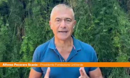 Pecoraro Scanio "Sottovalutato allarme esperti sui pini di Roma"