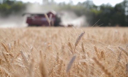 Cresce l'insicurezza alimentare