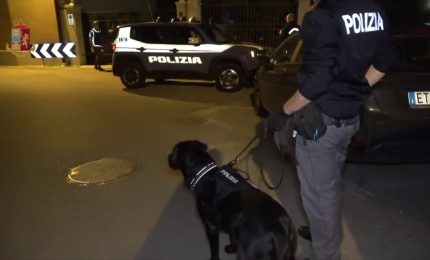 Spaccio allo stadio Bentegodi di Verona, misure cautelari per ultras