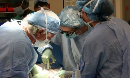 Donazione di organi al Policlinico di Palermo