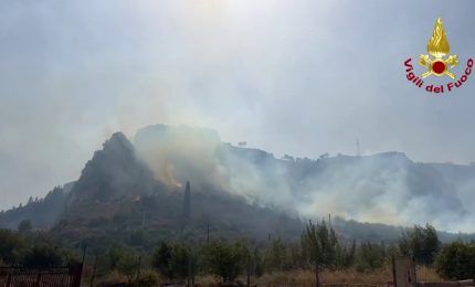 Incendi nel Palermitano, vigili del fuoco e Canadair in azione