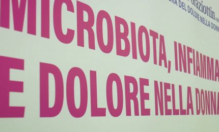 Nel microbiota un "identikit" della salute
