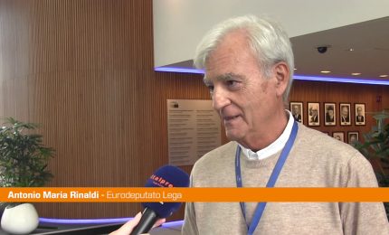 Bce, Rinaldi "Grave errore alzare ancora i tassi"