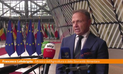 Agricoltura, Lollobrigida "Ue difenda asset strategico"