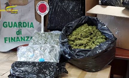 A Perugia dieci misure cautelari per traffico di stupefacenti