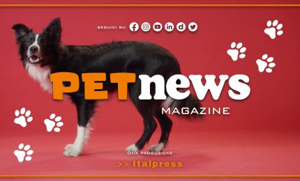 PetNews Magazine - 26/9/2023