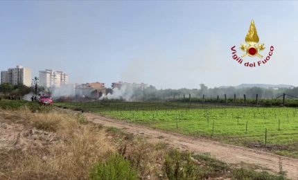 Fiamme in un canneto a Palermo, vigili del fuoco in azione