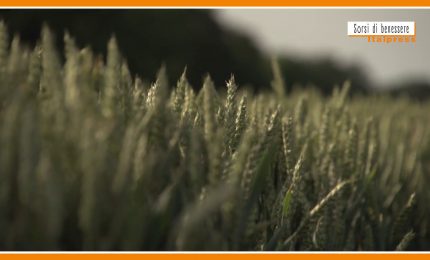 Sorsi di benessere - Un infuso detox e drenante, anche per celiaci