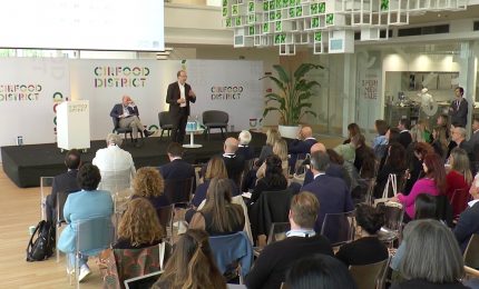 Generazione Z, i ragazzi chiedono cibo sostenibile