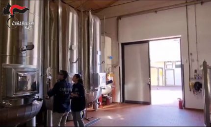 Nas sequestrano 300 mila litri di vini, multe per 290 mila euro