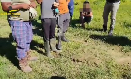 Pordenone, scoperti 9 lavoratori in nero tra cui 7 braccianti agricoli