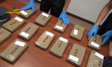 Traffico internazionale di droga con base nelle Marche, nuovi arresti