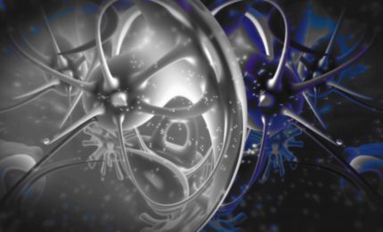 Nuove scoperte sulla senescenza delle cellule