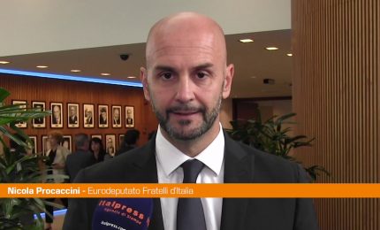 Procaccini "Non tutto il Parlamento Europeo sostiene Israele"