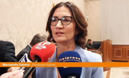 Gelmini "&Egrave; necessario che la politica cambi paradigma"