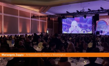Zappia al Niaf di Washington "Tra Italia e Stati Uniti valori comuni"