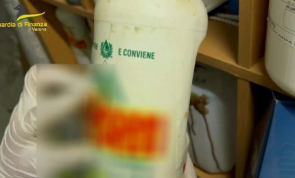 Oscurato per frode il sito web dell'Istituto Dermatologico di Verona