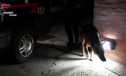 Agevolava scambio di informazioni tra clan, arrestata nel Palermitano