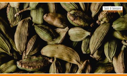 Sorsi di benessere - Una tisana dopo pasto che favorisce la digestione