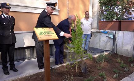 Ospedali pi&ugrave; green, al via il progetto "Un albero per la salute"