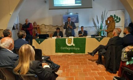 Confagricoltura &ldquo;Coltivazione del sale diventi attivit&agrave; agricola&rdquo;