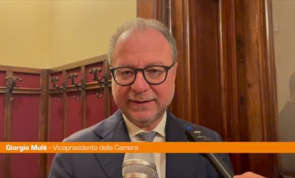 Diabete, Mul&egrave; "Con la legge 130 approccio nuovo alla malattia"