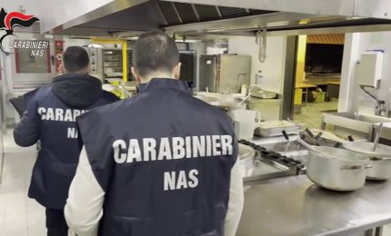 Blitz dei Nas, cucine delle mense scolastiche con muffe ed escrementi