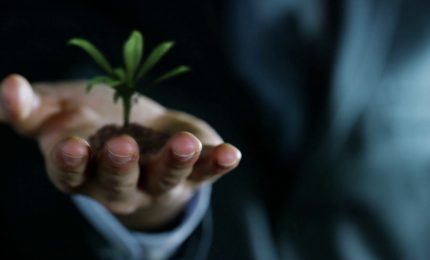 Le imprese investono di pi&ugrave; sulla green economy