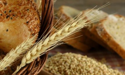 Una cabina di regia per i controlli sull&rsquo;import del grano duro