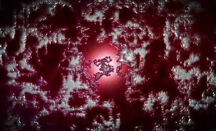 Dolore cronico, il ruolo del tessuto adiposo