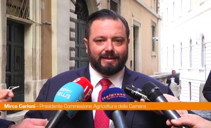 Carloni "Il biometano &egrave; un'opportunit&agrave; per le imprese agricole"