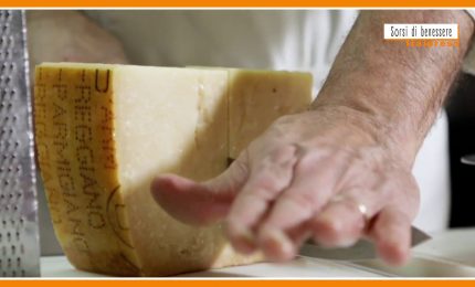 Sorsi di benessere - Aromatizzare il Parmigiano? Ecco un'idea gustosa