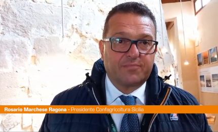 Ragona "La coltivazione del sale diventi attivit&agrave; agricola"