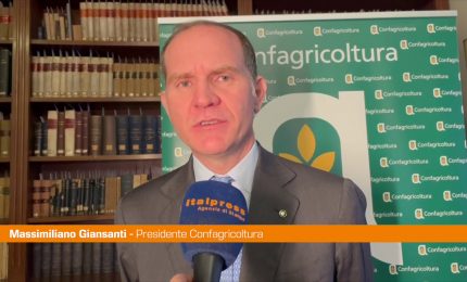 Giansanti "Il comparto dell'olio &egrave; strategico per l'Italia"