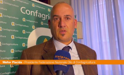 Olio, Placida "L'Italia recuperi competitivit&agrave;"