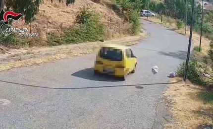 Lanciano rifiuti dai finestrini dell'auto, 4 denunciati nel reggino