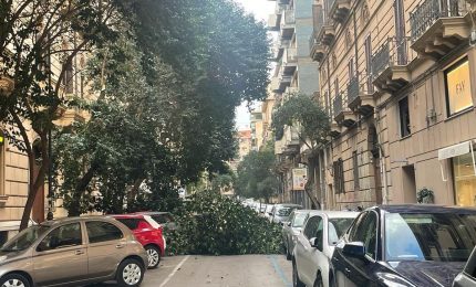 Palermo, alberi caduti per il forte vento in centro citt&agrave;