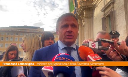 Carne coltivata, Lollobrigida "Siamo ottimisti, Italia non &egrave; pi&ugrave; sola"