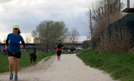 Cinofilia sportiva, Fidasc a sostegno del "cane-atleta"