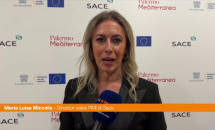 Miccolis "Da Sace nel 2023 sostegno a 1300 aziende siciliane"